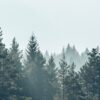 Fototapeta Piaszczysta Plaża — wzór 3