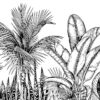Fototapeta Palma na Plaży — wzór 2