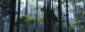 Fototapeta Mglisty Poranek — wzór 2