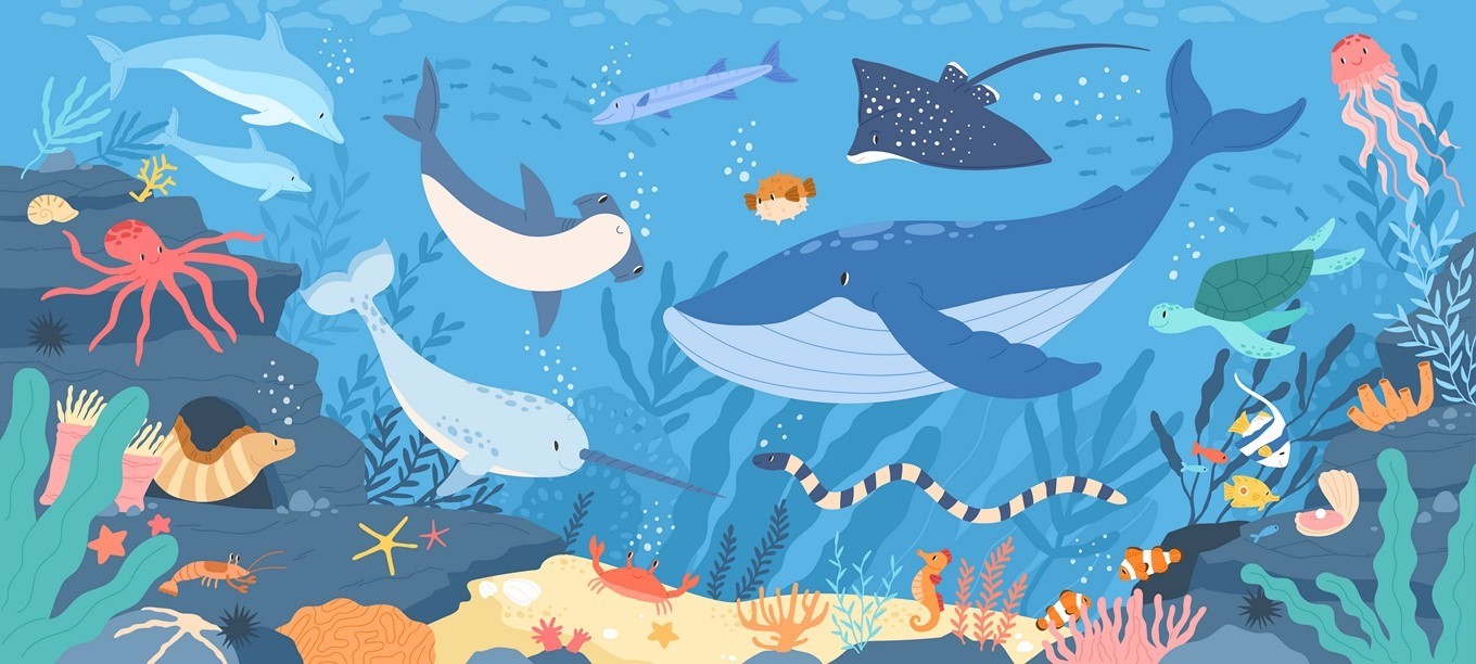 Fototapeta Wesoły Ocean