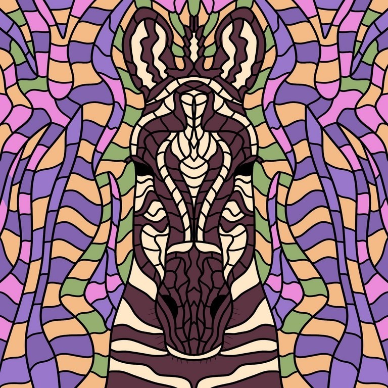 Fototapeta Zebra Graffiti