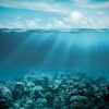 Fototapeta Fale Oceanu — wzór 2