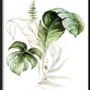 Plakat Kanion Marsa