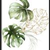 Plakat Kanion Marsa