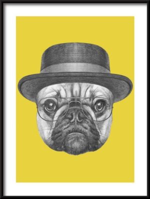 Plakat Buldog Francuski