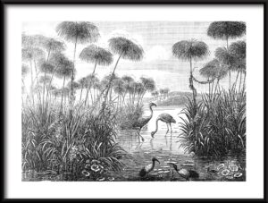 Plakat Retro Flamingo