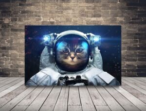Obraz Kot Kosmonauta