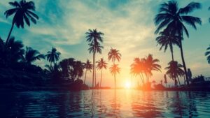 Fototapeta Plaża z Palmami — wzór 2