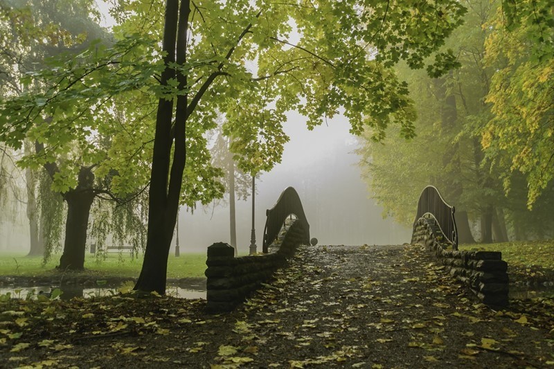 Fototapeta Romantyczny Most
