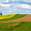 Fototapeta Pełnia Księżyca — wzór 5