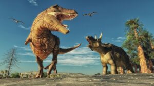 Fototapeta Dinozaur — wzór 8720