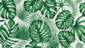 Fototapeta Liście Jungle