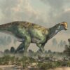 Fototapeta Dinozaur — wzór 8