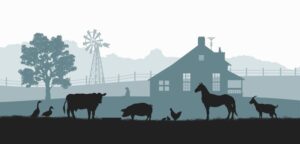 Fototapeta Ilustracja Farmy — wzór 2