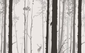 Fototapeta Leśna Ilustracja — wzór 3