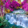Fototapeta Trawy Tropikalne