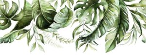 Fototapeta Liście Botaniczne — wzór 2