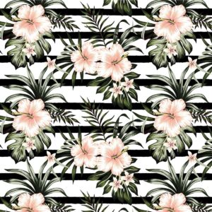 Fototapeta Różowy Hibiskus