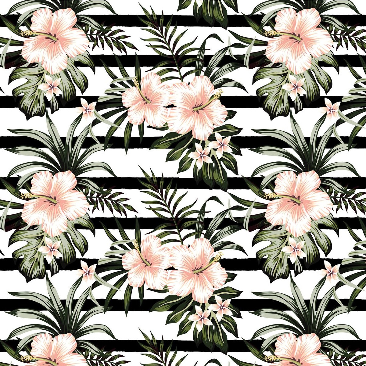 Fototapeta Różowy Hibiskus