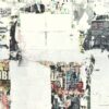 Fototapeta Abstrakcja i Gołębie