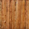 Fototapeta Rysunek Kwiatów — wzór 13281