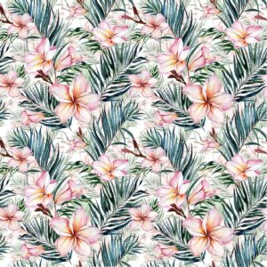 Fototapeta Plumeria