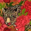 Fototapeta Głowa Jaguara