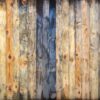 Fototapeta Tropikalne Ptaki — wzór 2