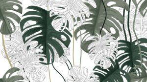 Fototapeta Botaniczna Kreska