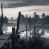 Fototapeta Zamglony Las — wzór 12937