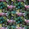 Fototapeta Małe Kolibry