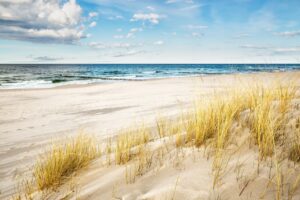 Fototapeta Złota Plaża