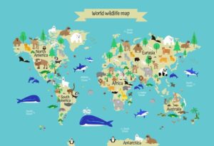 Fototapeta Dziecięca Mapa — wzór 12684