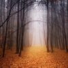 Fototapeta Beżowa Ściana — wzór 12984