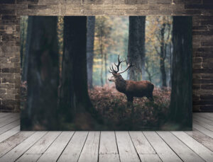 Obraz Jeleń Wśród Drzew
