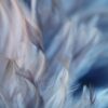 Fototapeta Abstrakcyjna Dekoracja Marmurkowa