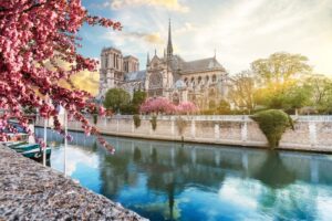 Fototapeta Katedra Notre Dame — wzór 34075