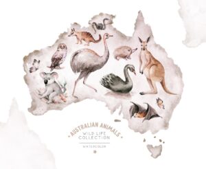 Fototapeta Zwierzęta Australii — wzór 34280