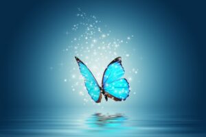 Fototapeta Magiczny Motyl
