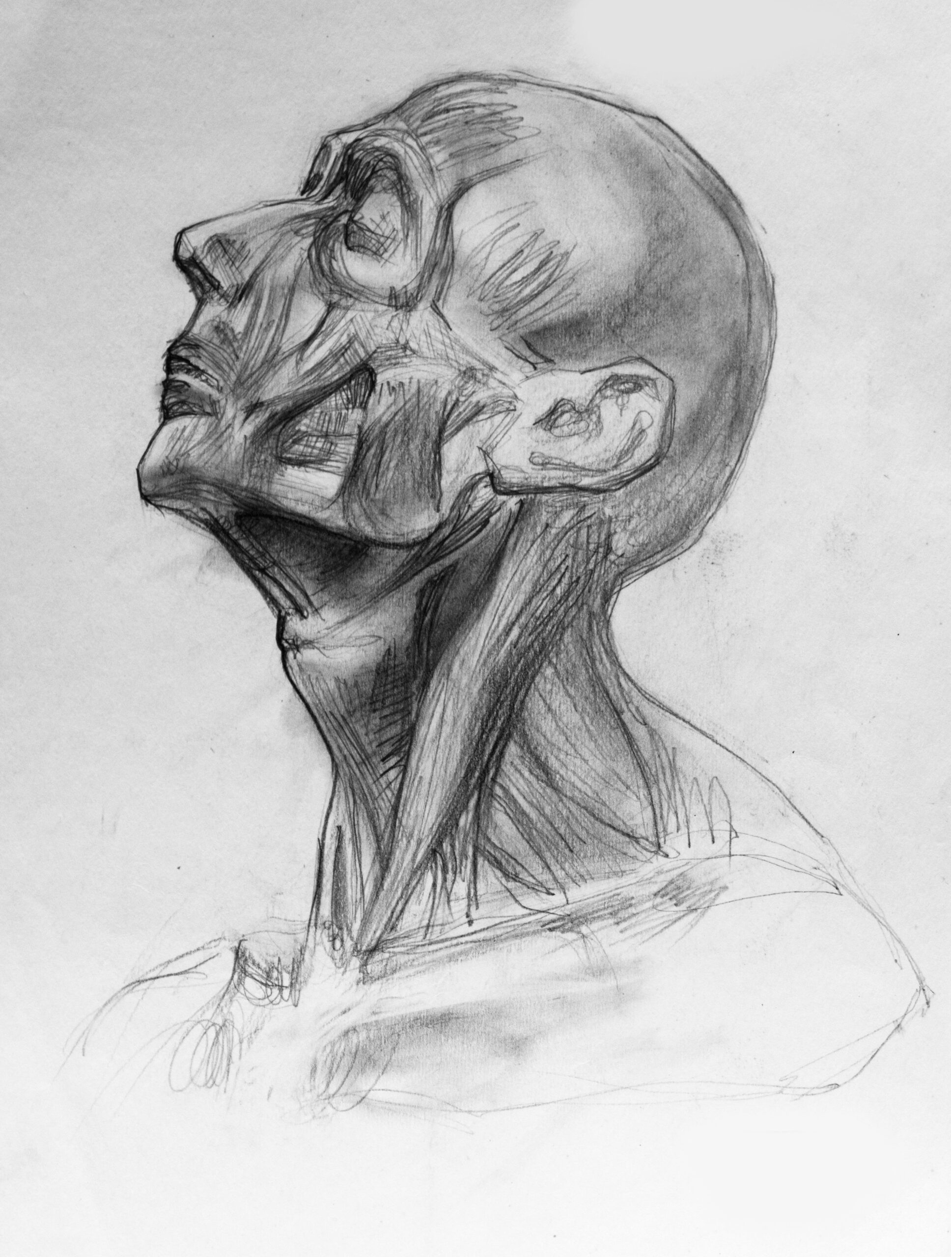 Obraz Portret Mężczyzny Obraz Portret Mężczyzny — wzór 37673