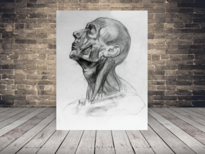 Obraz Portret Mężczyzny — wzór 37673