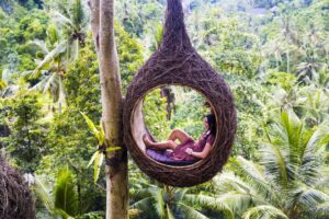 Fototapeta Ptasie Gniazdo na Bali