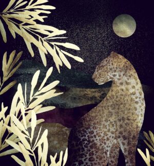 Fototapeta Nocny Gepard