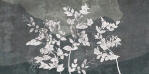 Fototapeta Białe Kwiaty — wzór 36324