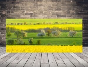 Obraz Wiosenne Barwy