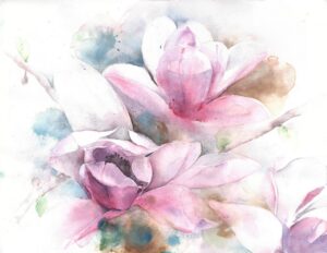 Fototapeta Rozkwitające Magnolie