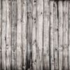 Fototapeta Wieloryb i Lis