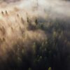 Fototapeta cyfrowy Świat