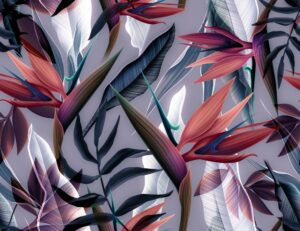 Fototapeta Liście Monstera — wzór 40173