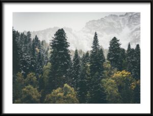 Plakat Górski Las — wzór 42750